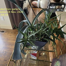 Home-Watch-Property-Care-for-Seasonal-Homeowners-Morrison 0