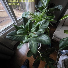 Weekly-Home-Watch-for-Snowbird-Homeowners-Denver 1